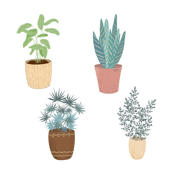 绿色的叶子家居植物在时髦的陶罐设置孤立的手绘图像，简单的斯堪的纳维亚风格数码插图室内设计象征温馨的家，舒适，家庭图片下载