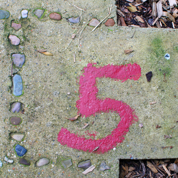 粉红的五在灰色图片下载