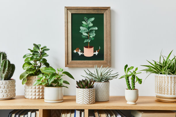 室内设计的复古客厅与时尚的架子，室内植物，仙人掌，装饰和模拟海报框架在白墙上。植物学家居装饰。模板。图片下载
