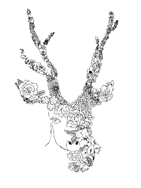 艺术鹿插图图片下载