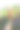 胡萝卜在手。花园的背景上，一个女人手里拿着一根大的、新鲜的橙色胡萝卜。农业概念，园艺，种植蔬菜。近距离图片下载