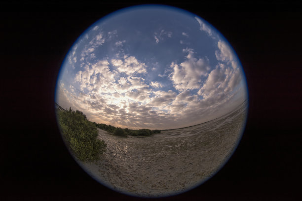 日出时分阿联酋沼泽地的鱼眼镜头景观图片下载