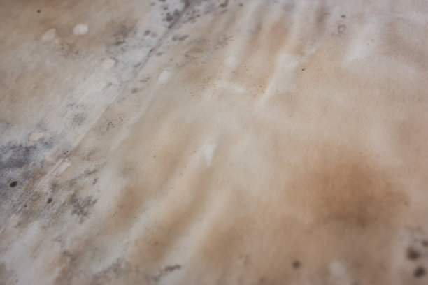 风化页与模具。老穿纸。纸张表面背景老化。垃圾纸。古时翻开的书，空空如也。有皱纹的羊皮纸。图片下载