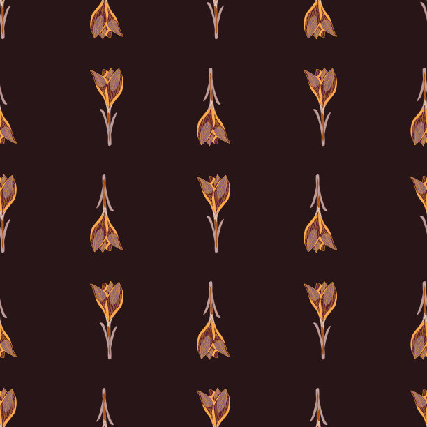 秋天色调无缝模式与轮廓藏红花图片下载