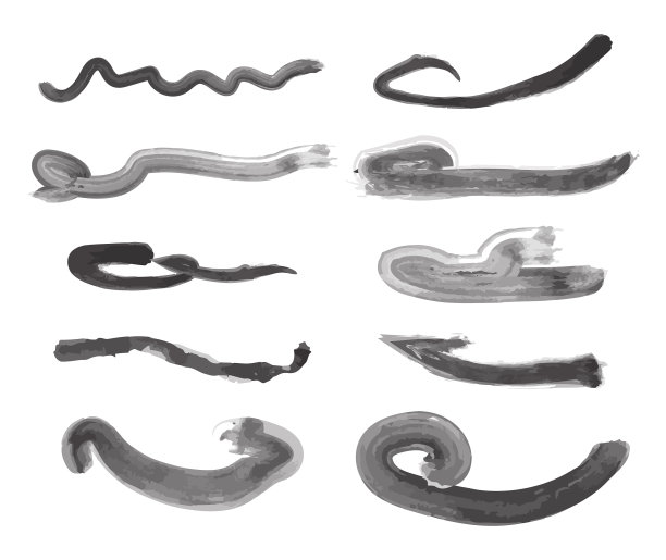 笔画组图片下载