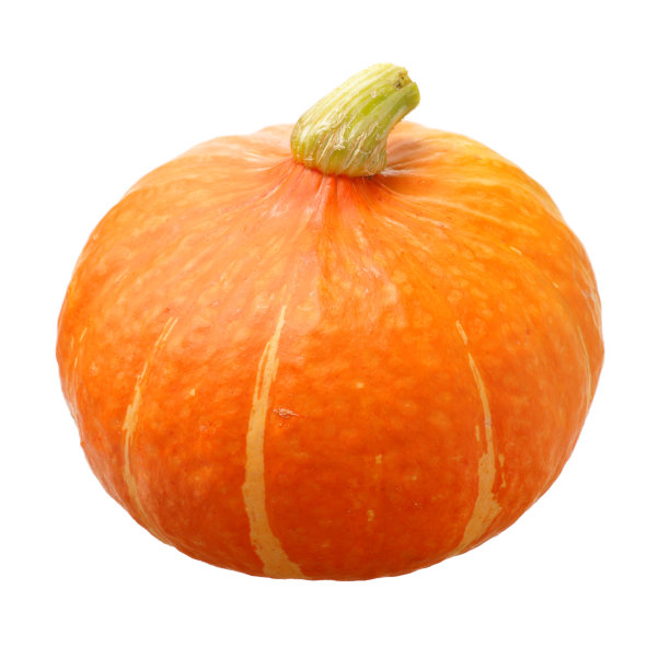 橙色的南瓜图片下载