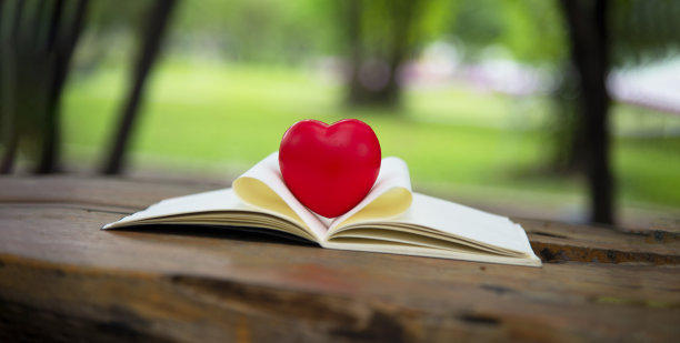 打开书页形状的心在桌子上与绿树模糊的背景木图片下载