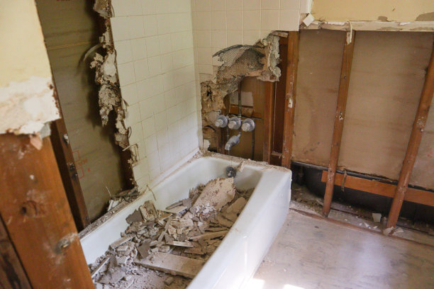 1969年浴室改造图片下载