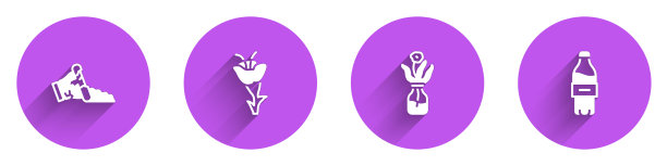 将破碎的花盆花分别装入玻璃瓶和玻璃瓶中图片下载