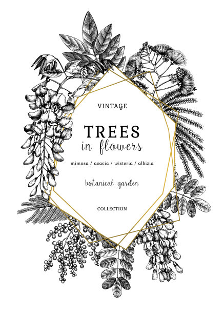 植物学与手绘树木在花vint图片下载