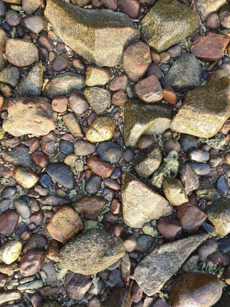 石头在沙滩上图片下载