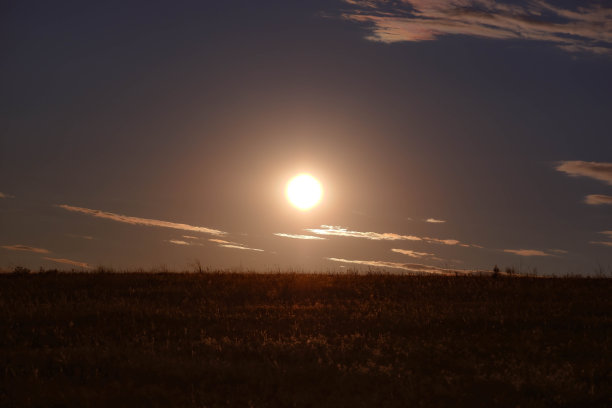 黄昏时分，森林附近的村庄，草地上的夕阳图片下载