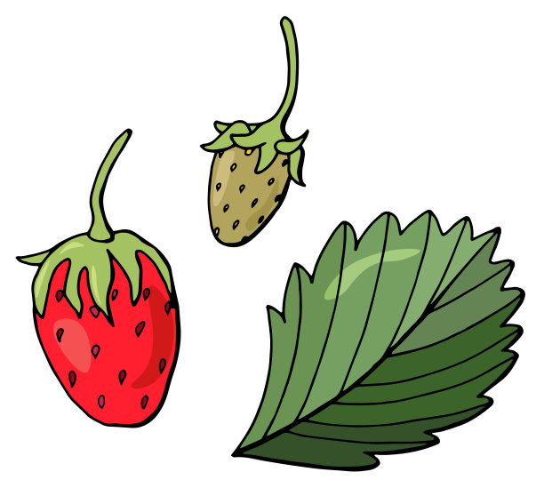 草莓草莓集手绘风格图片下载