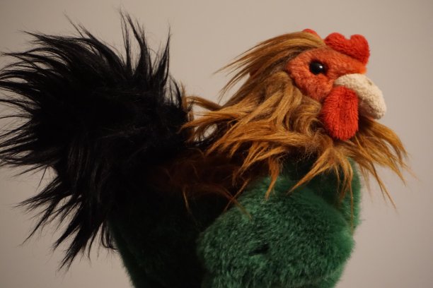 毛绒玩具鸡图片下载