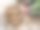 山苍子、山苍子、姜黄、山苍子、山苍子、山苍子、山苍子鲜、蔬菜食泰式水泥地上药草、新型冠状病毒图片下载