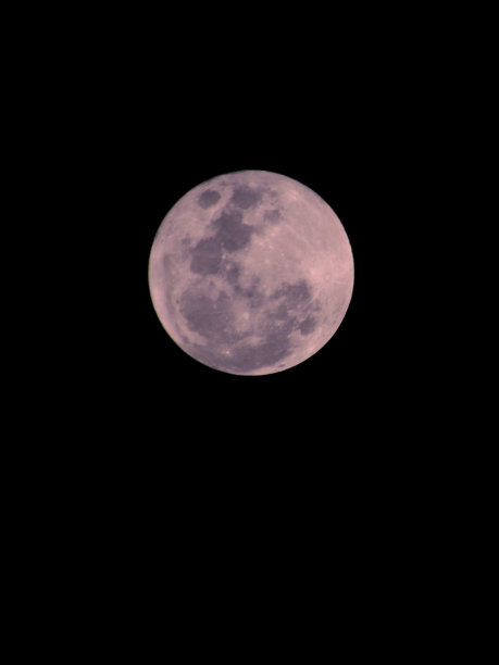 “草莓月”是2021年最后一个超级月亮，孤立地漂浮在南半球夜空下。图片下载