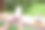 一名女子在户外手持并使用带有白屏的手机图片下载