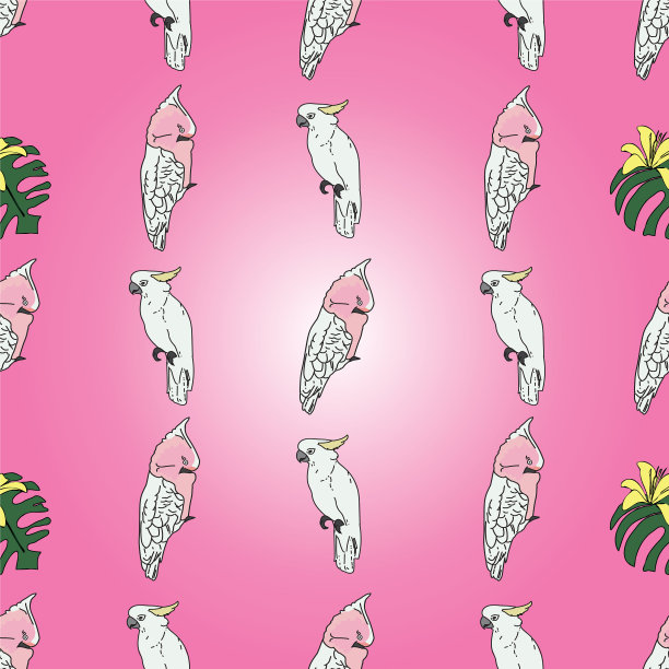 亮粉色背景的热带鸟类鹦鹉图片下载