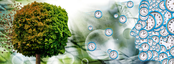 树的抽象形象，象人的头。3维图像图片下载