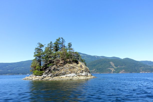 这是海洋中央一个长满树木的小岛的特写照片图片下载