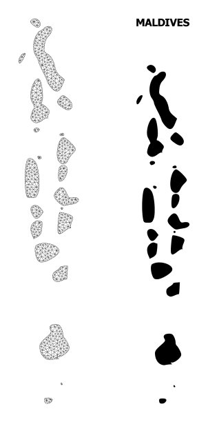 多边形网络网格的高细节图图片下载