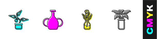 将植物栽植在花盆、花瓶、玻璃瓶中图片下载