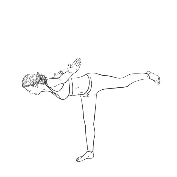 画一个单腿站立做瑜伽的女人图片下载