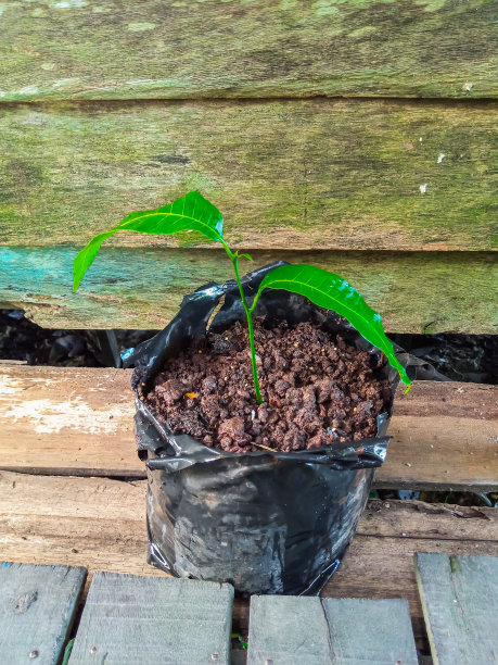 塑料袋图片下载