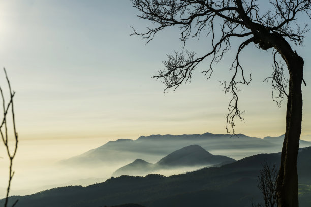 美丽的雾蒙蒙的早晨，高地的轮廓图片下载
