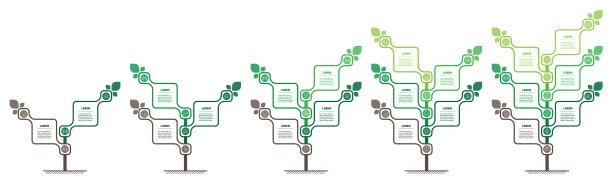 以树的形式设置垂直信息图图片下载