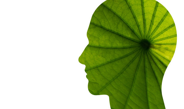 脸与叶纹理剪影隔离在白色背景。插图。图片下载