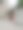 一排一排的花盆挂在水泥墙上图片下载