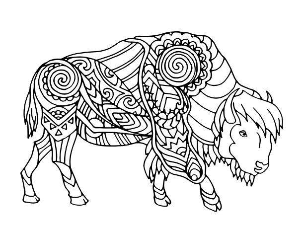 野牛着色书。图片下载