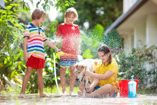 孩子们在夏天的花园里给狗洗澡。水管的乐趣。图片下载