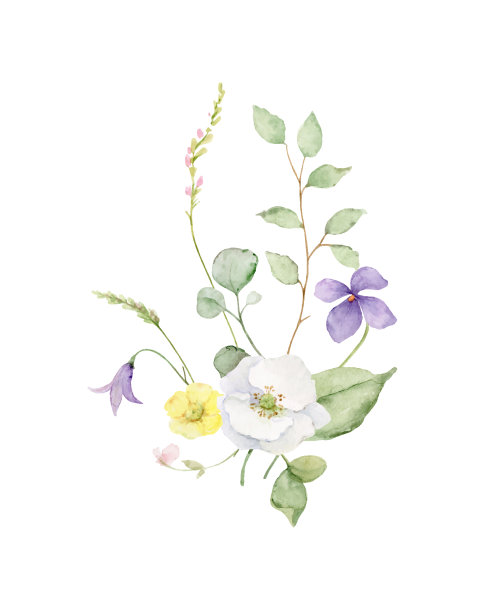 水彩花束与野花图片下载
