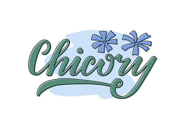 菊苣用蓝色手写孤立字图片下载