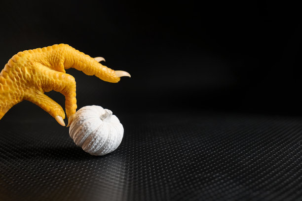 母鸡的爪子用长指甲玩着黑色背景上的白色粉笔南瓜。万圣节时尚风格概念。图片下载