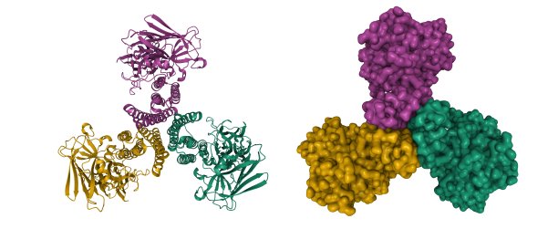 苏云金芽孢杆菌Cry4Ba杀蚊幼虫毒素的结构研究图片下载