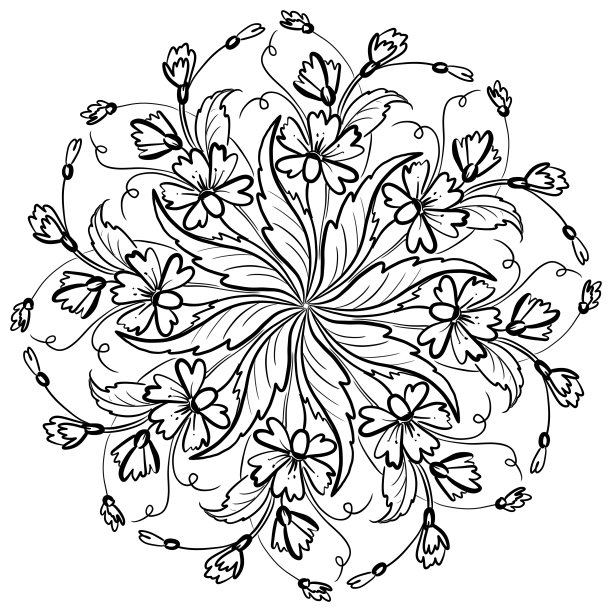 白色背景上的花曼荼罗图片下载