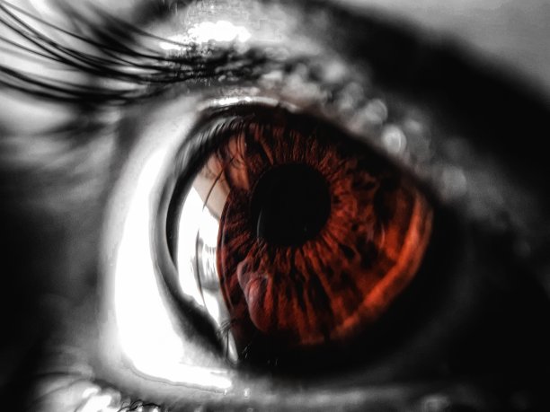 眼睛从来没有谎言图片下载