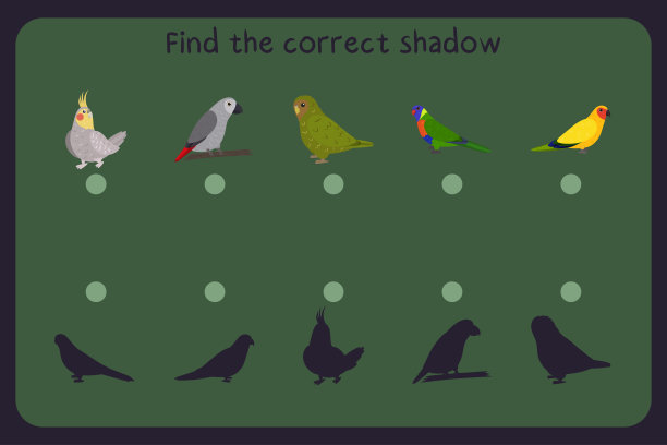 匹配的儿童教育游戏鹦鹉-鹦鹉，雅可，猫头鹰，洛里安，澳大利亚国王。找到正确的阴影。图片下载
