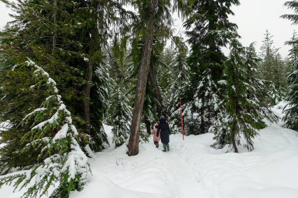 加拿大不列颠哥伦比亚省柏树山上，一位母亲和女儿走在覆盖着刚下过雪的群山中，周围是满是树木和湖泊的大自然。图片下载