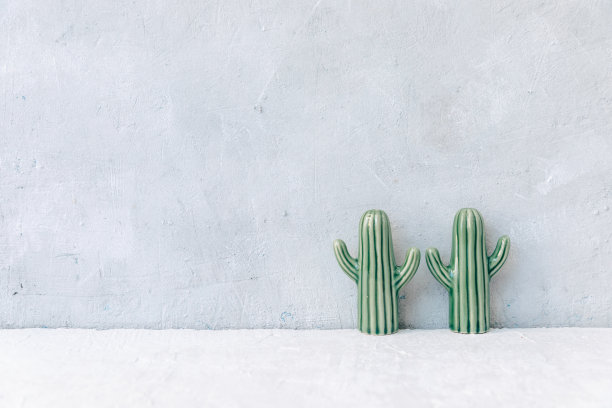 白色背景上的陶瓷仙人掌，极简主义照片。家居盆栽，复制空间，静物生活的最小概念图片下载