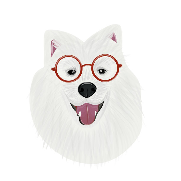 萨莫耶德人狗肖像图片下载