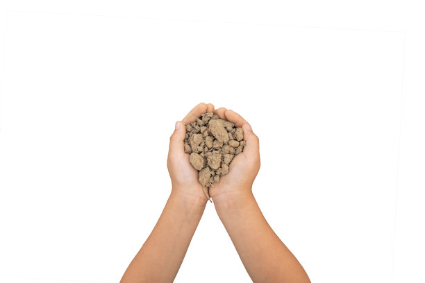 32、孩子手中的泥土，用来植树。图片下载