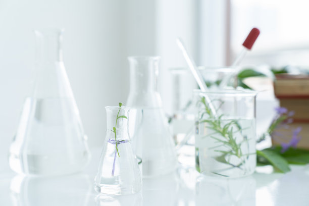 在实验室里对植物的测试。教室或实验室的玻璃器皿。科学和教育。科学实验，研究人员，研究理念图片下载