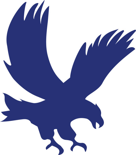 老鹰图标设计模板隔离图片下载
