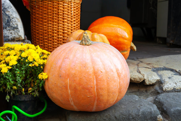 橙色的南瓜和黄色的菊花放在门廊上图片下载