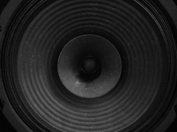 扬声器单色图像，近距离观察图片下载