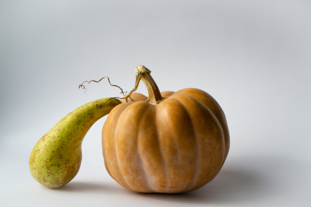 复制空间在白色的背景与秋天的南瓜和梨图片下载